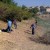 ARROYO