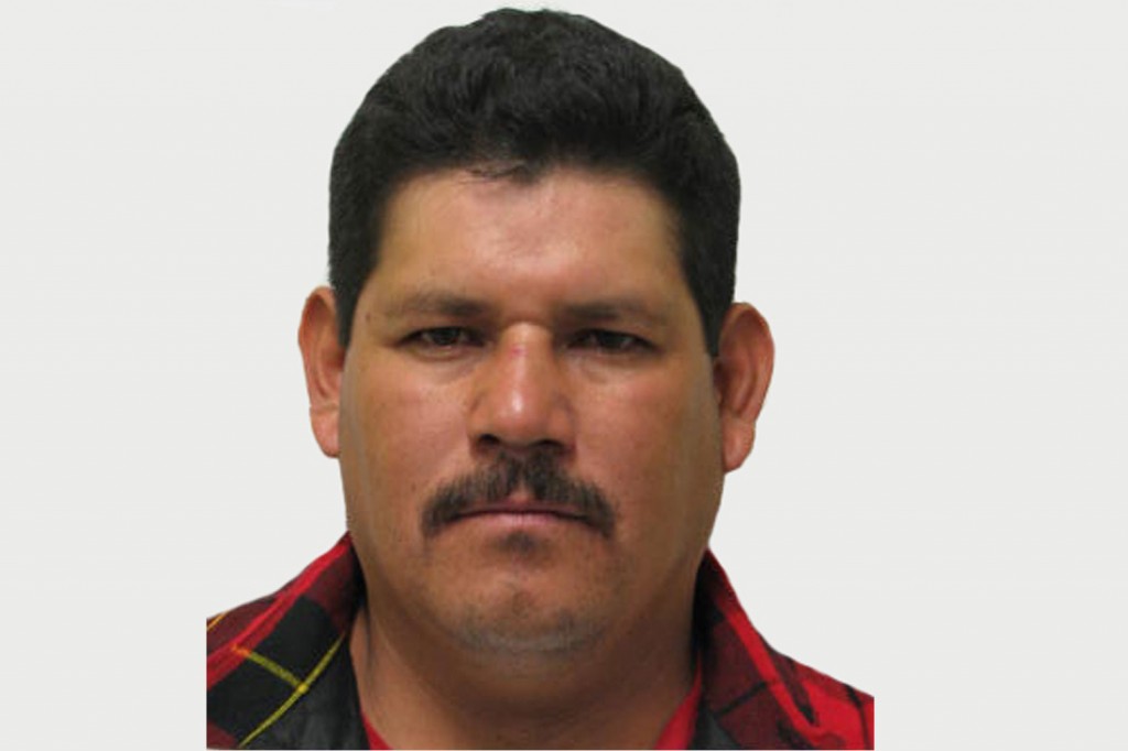 VIOLADOR