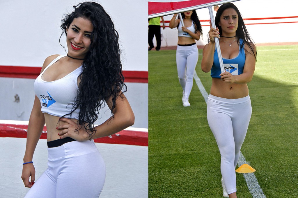 EDECANES1
