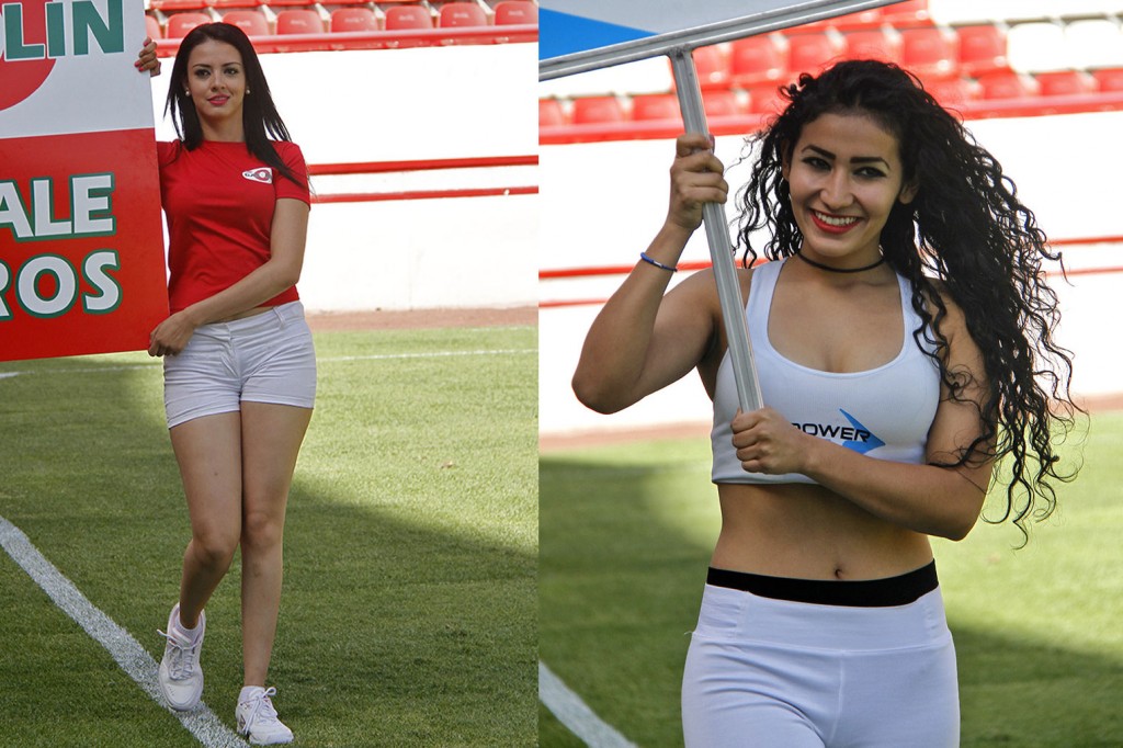 EDECANES2