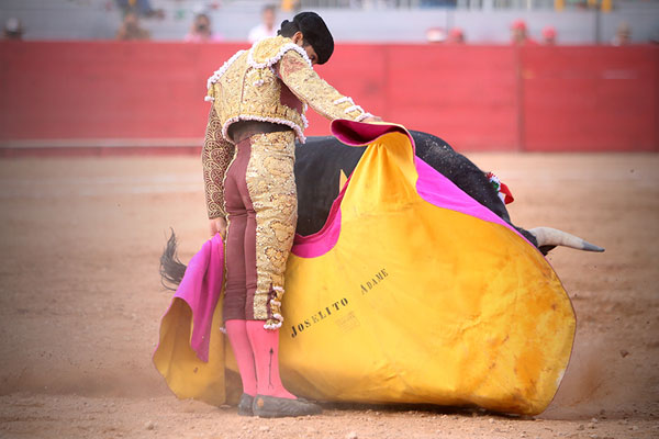 JOSELITO-2