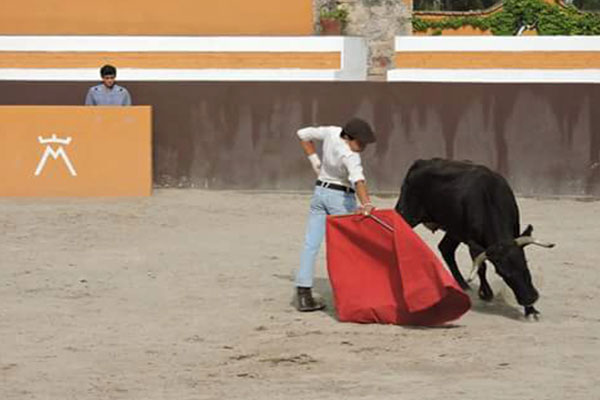 TOROS-2