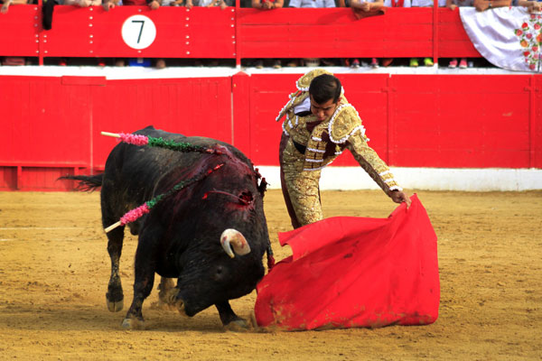 ADAME-2