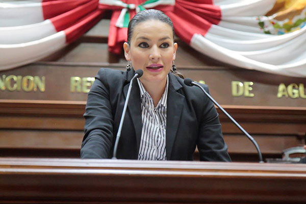 DIPUTADA-PAN