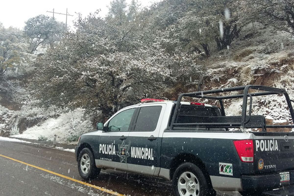 NIEVE-SSPE-2