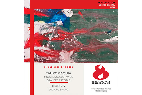 TAUROMAQUIA