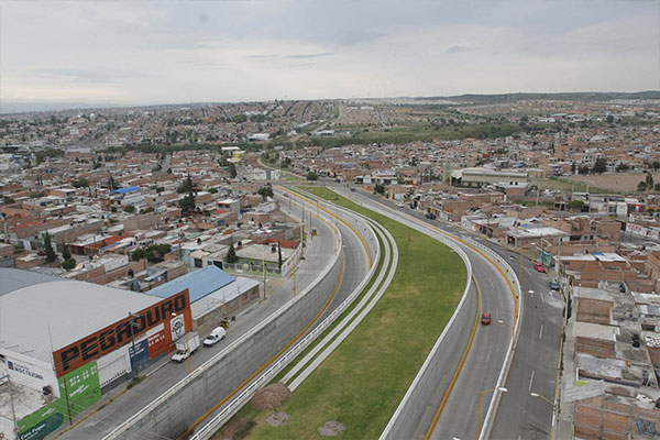LINEA-VERDE