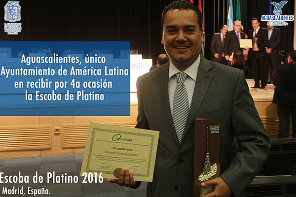 ESCOBA-DE-PLATINO