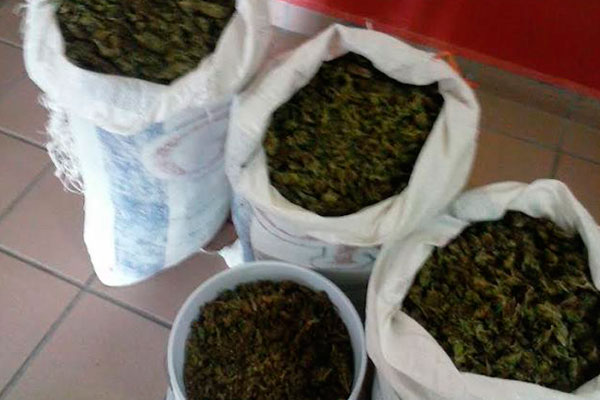 MARIHUANA