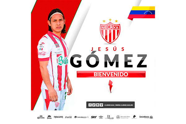 NECAXA-3