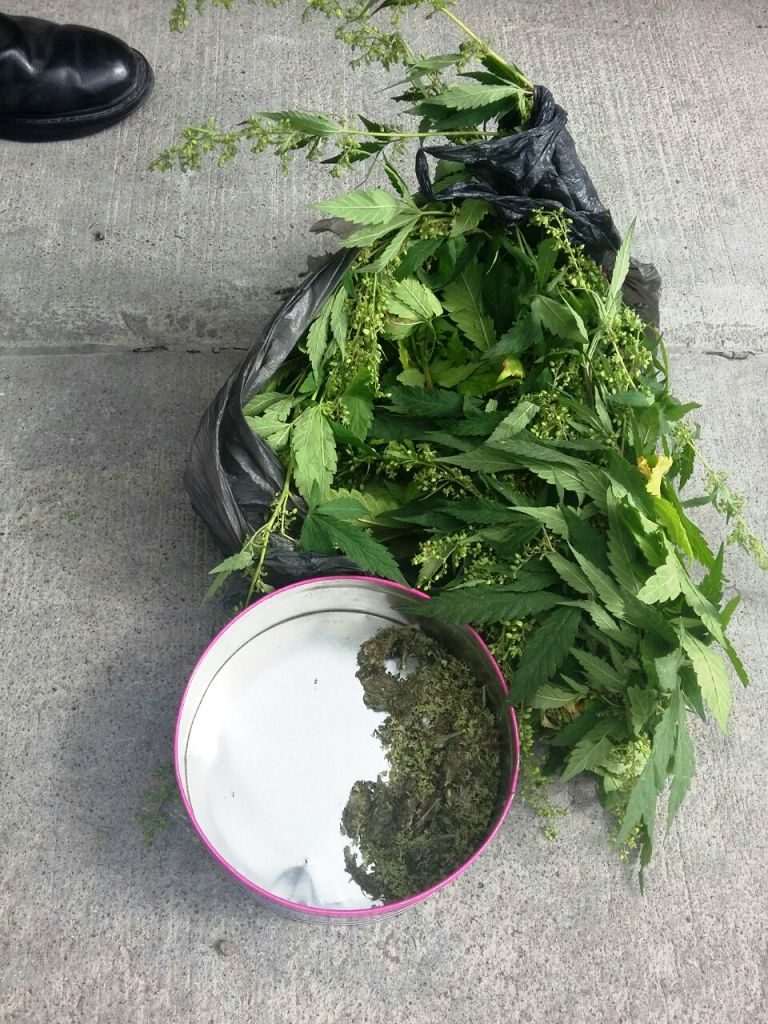 MARIHUANA