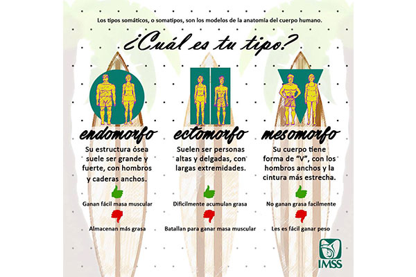 NUTRICION