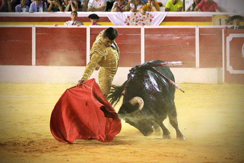 JOSELITO-1