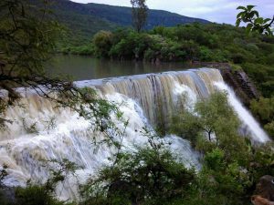 PRESA 1-800x600