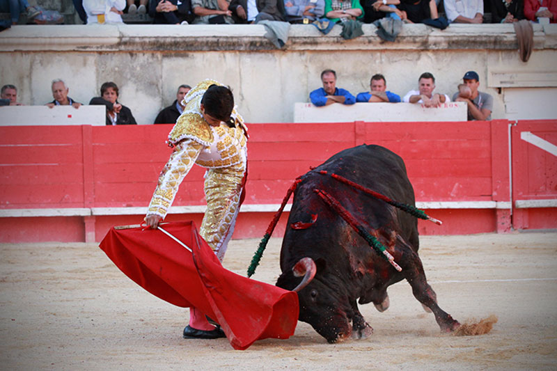 adame-3