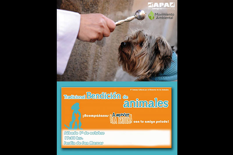animales