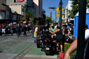 atropellado-1-800x533