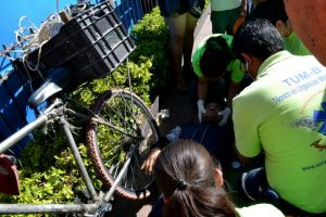 atropellado-2-800x533