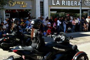 atropellado-3-800x533