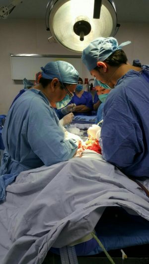 donacion-800x1422-600x1066