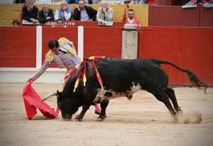 joselito-1-800x550