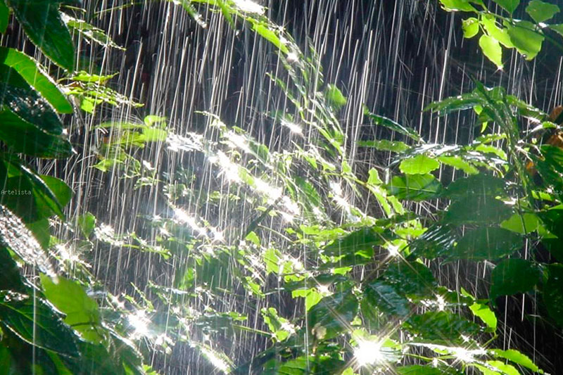 lluvia