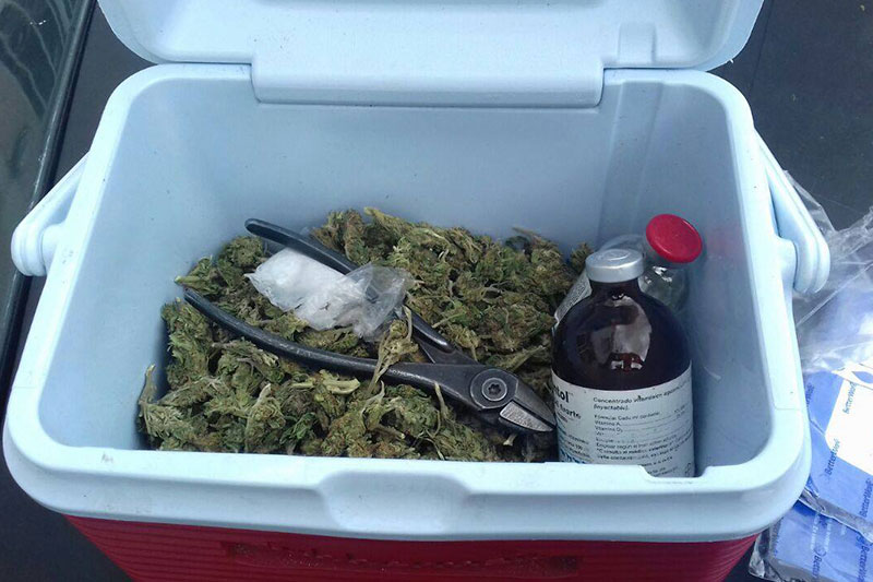 marihuana-2