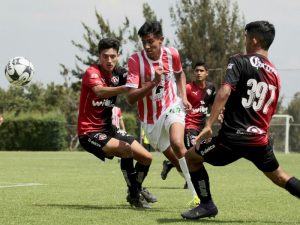 necaxa-2-800x600