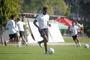necaxa-800x532