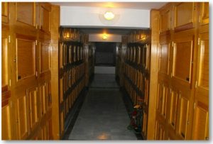 NICHOS 2-800x541