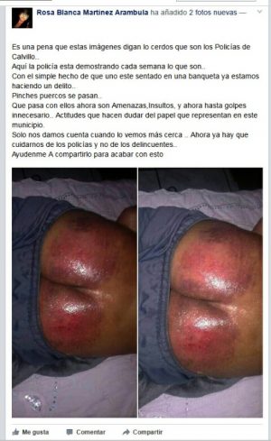 POLICIAS CALVILLO 2-480x783