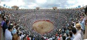 toros-1-800x364