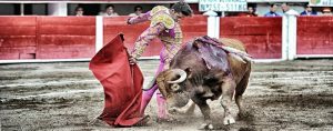 toros-2-800x314
