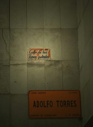 tunas-peladas-600x822