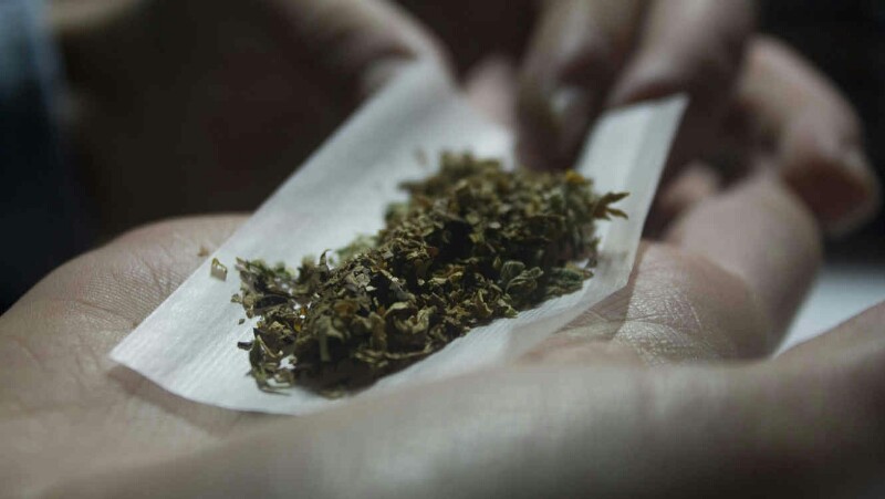 marihuana-800x451