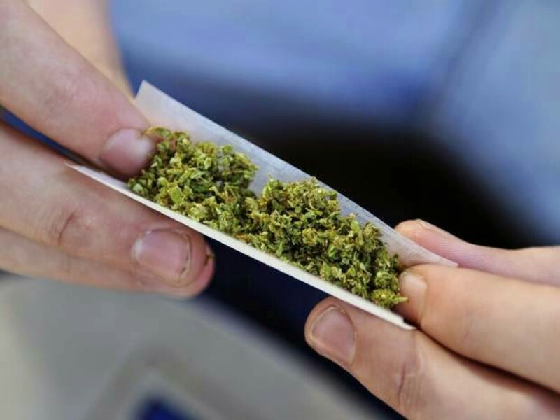 marihuana-pgr-800x600