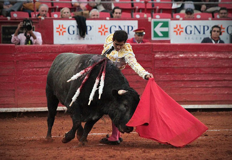adame-4