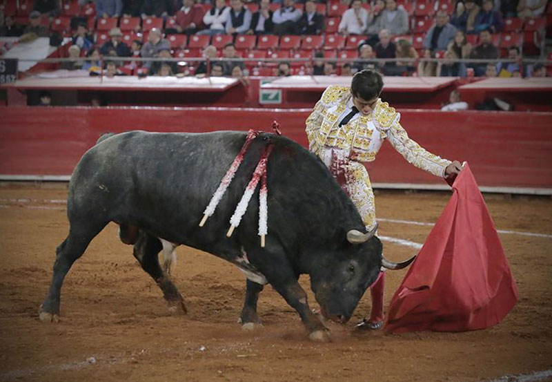 adame-5