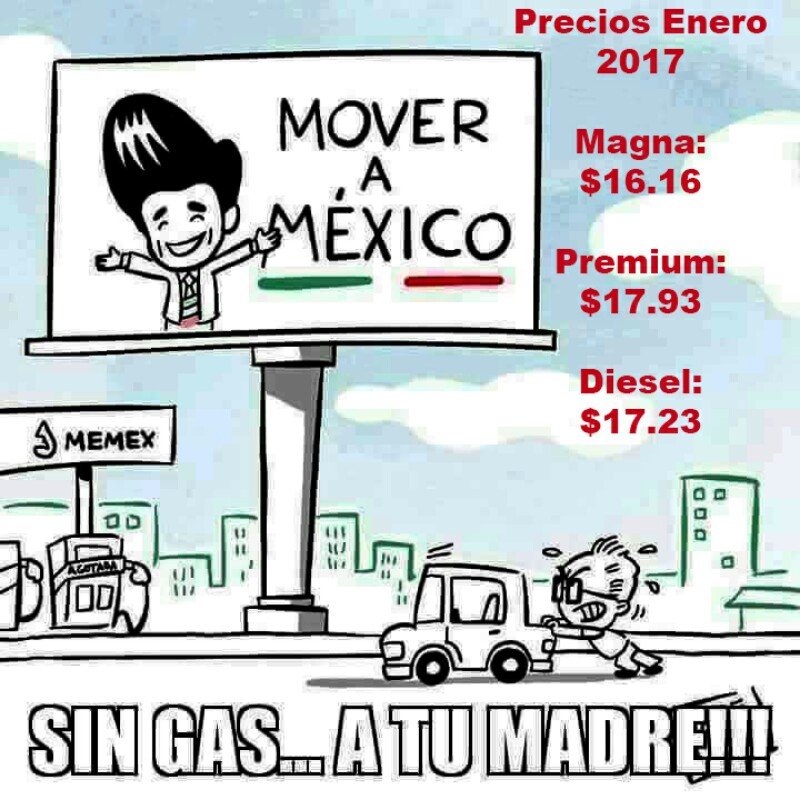 gasolina-2-800x800