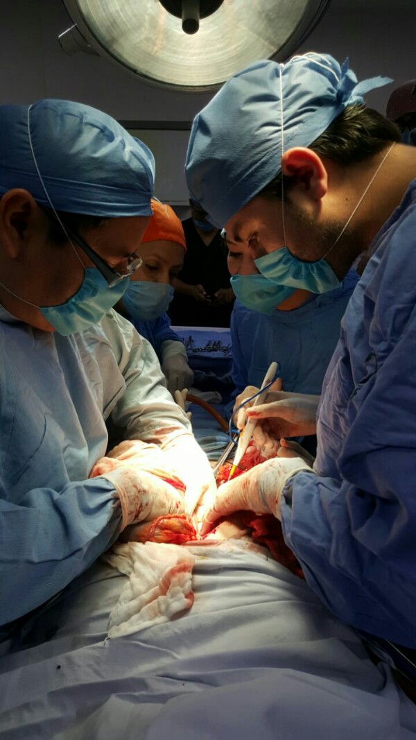 imss-600x1067