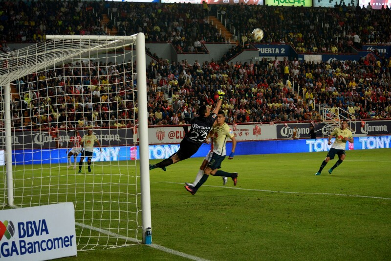 necaxa-2-800x533