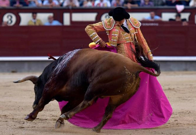 roca-rey