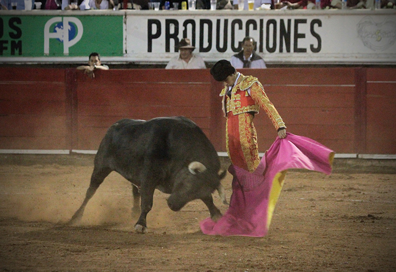 adame-2