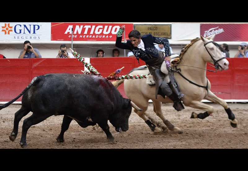 gamero