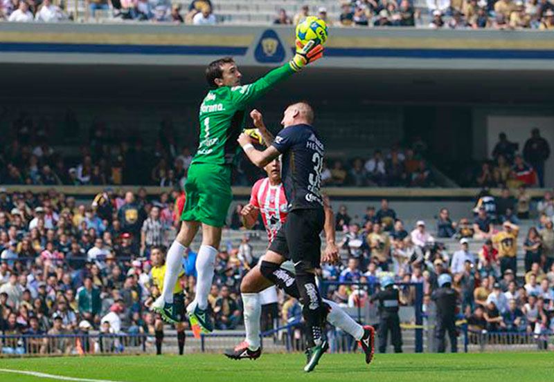 NECAXA-1