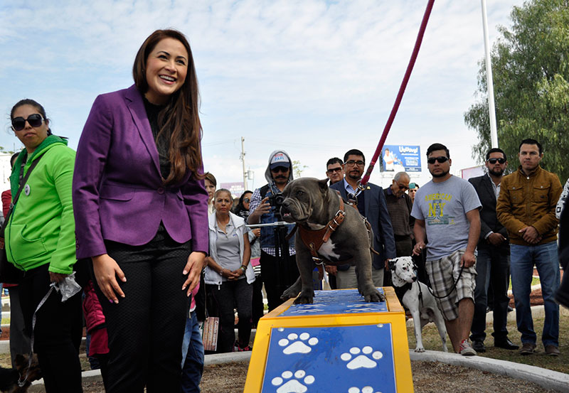 PARQUE-PERROS-1