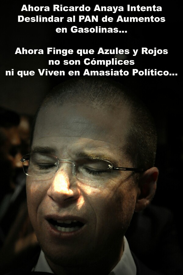ricardo-anaya-600x901