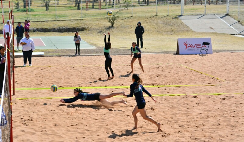 VOLEIBOL 1-800x466