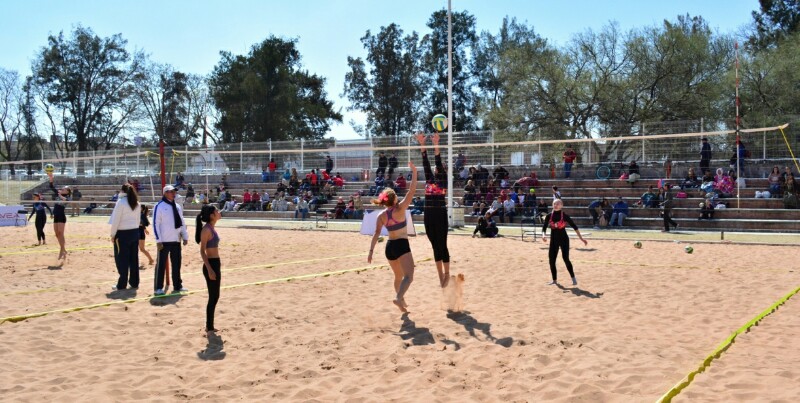 VOLEIBOL 2-800x403