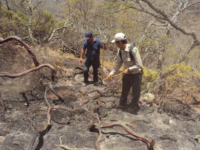 image-2017-01-13 (5)